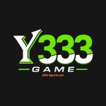 Y333 Game