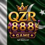 QZR888 Game