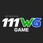 111WG Game